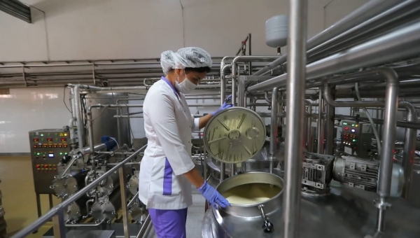 В ВКО активно развивается агропромышленный  комплекс